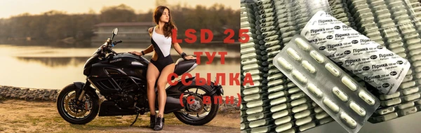 не бодяженный Беломорск