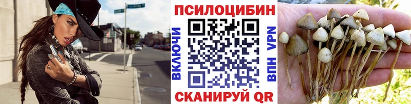 Псилоцибиновые грибы мухоморы  наркотики  Кириллов 
